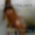 Wapello, horny wives